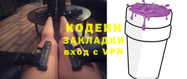 мдпв Краснослободск