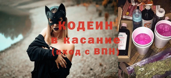 мдпв Краснослободск
