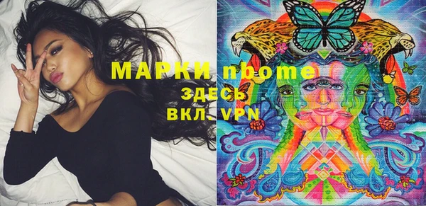 мдпв Краснослободск