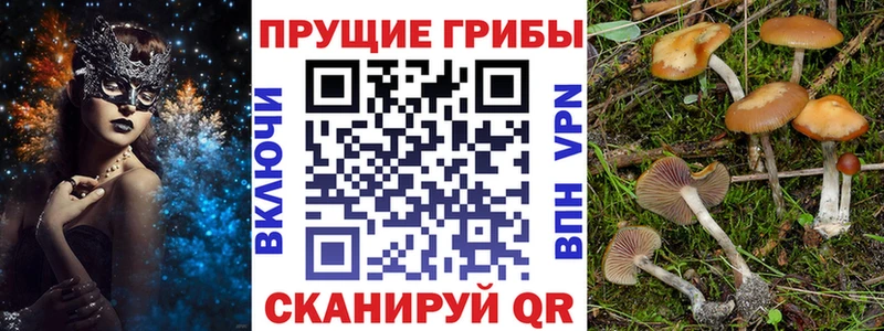 Псилоцибиновые грибы MAGIC MUSHROOMS  MEGA зеркало  Сарапул 