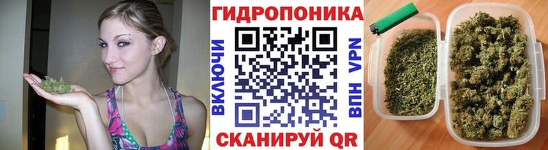 Каннабис ГИДРОПОН где продают Сарапул